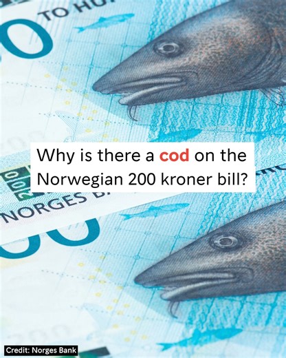 The season of SKREI is approaching! Have you ever tasted the Arctic cod? | Visit Norway