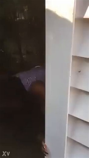 At our family reunion we teasing our nerdy cuz that he won't fuck no pussy in is life 20 min later I over my granny telling someone to get in her pussy I snuck around phone out just to see my nerd cuz got our granny on a backshot tryin is best while grandma telling him no rest 💕