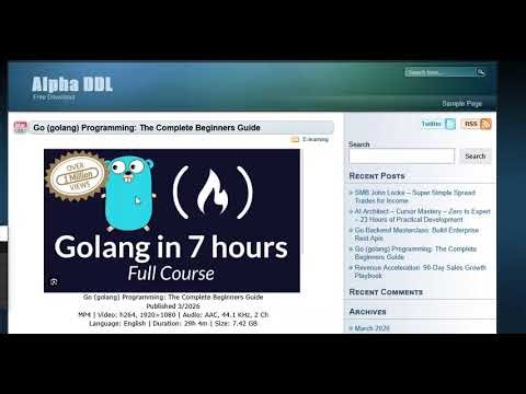 Go (golang) Programming: The Complete Beginners Guide