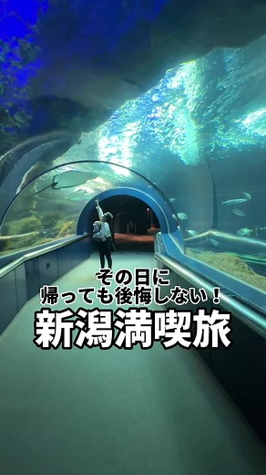 【新潟旅】地元充実！まじで後悔しない新潟旅 #新潟グルメ #新潟旅 #バスセンターのカレー #万代そば #新潟市水族館マリンピア日本海 #水族館 #ツバメラーメンユウキ #背脂ラーメン #新潟5大ラーメン #いちご大福 #お出かけスポット #グルメ #新潟グルメ #新潟県観光協会大阪観光センター #pr #fyp #旅行
