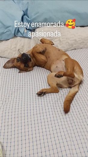 Enamorada 😍 | Hilda Fe De Rodriguez