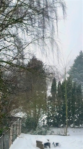 Extreme snowstorm in Hamburg #snowstorm #snow #snowfall #winter #germany #viralreels #storm #reels