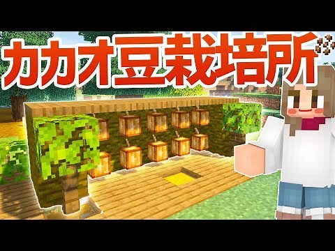 【マインクラフト】カカオ豆栽培所をつくる！【マイクラ実況】#168