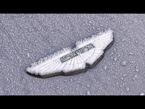 Winter Car Washing - Ten 'Cool' Tips