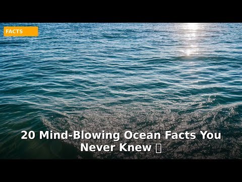 20 Mind-Blowing Ocean Facts You Never Knew 🌊