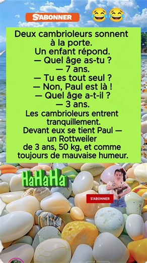anecdotesfrançais #humour #snapdrole #blague #doublagefrancais #memes #humoristefrancais