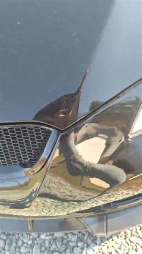 will The Duel Disk Harbor Freight horns work on my car