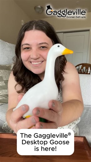 Gaggleville Porch Goose® Get-ups on Instagram: "The Gaggleville® 7”H Desktop Goose is here! Choose between the standalone statue or pair it with the All-Seasons Bundle for year-round fun 🪿 Shop today at Gaggleville.com or the link in bio 🔗 #desktopgoose #gagglevilledesktop #gooseoutfits #gagglevillegoose #minigoose #miniporchgoose #porchgoose"