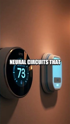 Locally Smart Tiny Learners Redefine Everyday Sensors