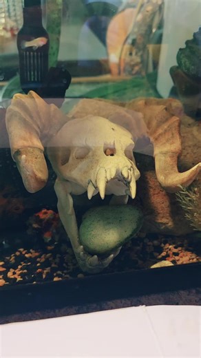 Post-Apocalyptic Fish Tank Ideas