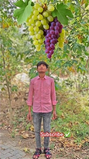 #miniatureart 😂 #funny #comedian #video 📈viral ho Gaya 😱😱