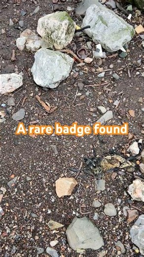 Roman soldier badge found, a mudlarking adventure #badge #soldier #shorts #mudlarking