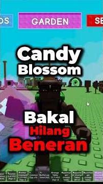 Ngerjain Quest CANDY BLOSSOM #4 | Grow A Garden