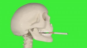 Time Lapse Footage Smoker Skull Smoking Stock Footage Video (100% Royalty-free) 1018136074 | Shutterstock