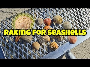 Ever use a SAND FLEA RAKE for Shelling