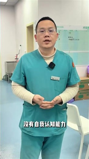 When a pet barks wildly at the mirror does it fail to recognize itself or is it a