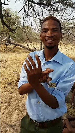 Click sounds of San people