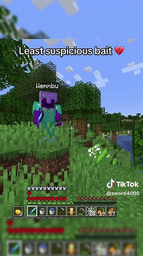 Minecraft The Purge: Epic Sword 4000 Challenge