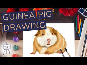 How to Draw a Guinea Pig – Create a Realistic Guinea Pig Drawing