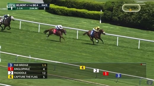 It was all FAR BRIDGE in Saturday's G2 Man o' War Stakes at BAQ! 🏇 The son of English Channel earned a 113 ESF, winning by a length under a hand ride by Hall of Famer Joel Rosario! Far Bridge is a perfect 2 for 2 in 2025, winning the G3 Pan American Stakes at Gulfstream Park at the end of March along with the Man O' War Stakes on Saturday. Notably this was his 8th consecutive race with a triple-digit Equibase Speed Figure 🔥 Check out his horse profile on Equibase: https://equibase.com/profiles