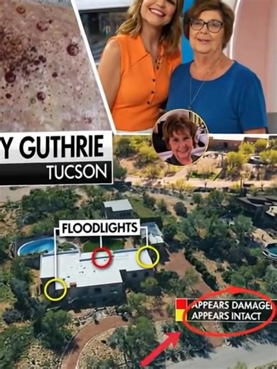 In this detailed aerial and forensic view of the Tucson property, the scale of the "horrific conspiracy" becomes terrifyingly clear through the mapping of floodlights and damaged security points. The upper panel shows chilling evidence—what appears to be blood spatter on a stone surface—highlighting the brutal reality of the attack that claimed Nancy Guthrie. Red and yellow circles on the Google Earth map pinpoint where the security system was compromised, showing that several "floodlights" were