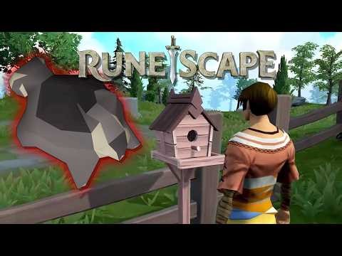 Runescape 3 Now Has Hunter Birdhouses & Black Chinchompas With 110 Hunter - But Are They Worth It?