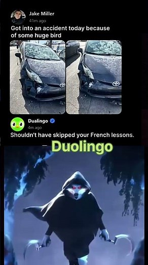 I am D...Duolingo.