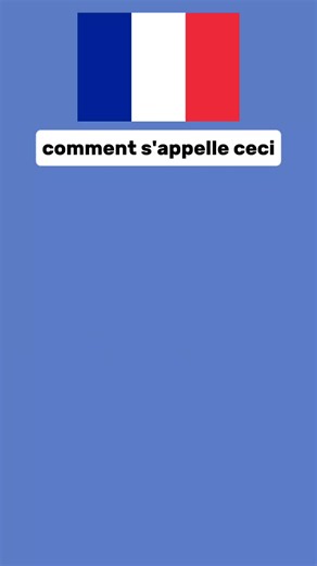 Easy French Vocabulary for Beginners - Common Words List