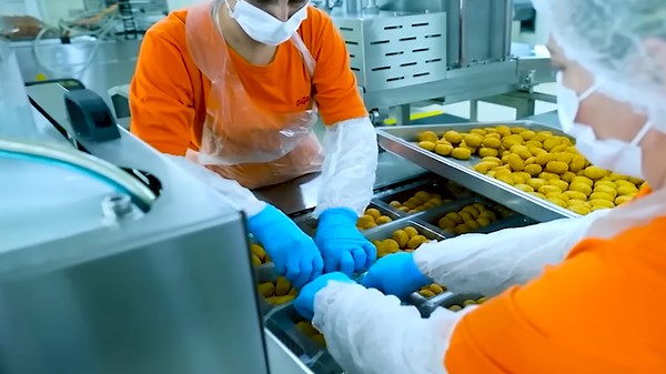 Cutting-Edge Machines Shaping the Future of Food Production