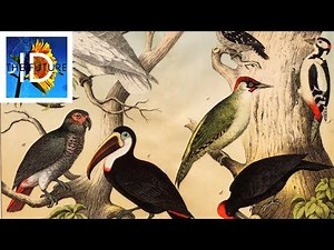 Thomas Reid’s Common Sense Design Philosophy