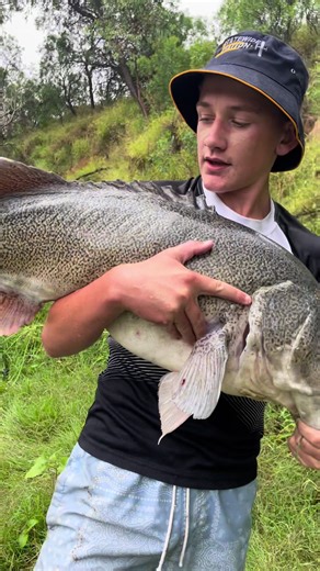 Catch Big Cod at the Gwydir River