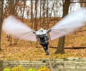 Making an Air-Powered Vertical Ornithopter