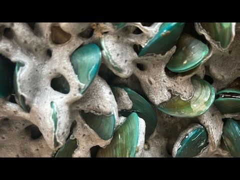 ASMR Boat Clean – Satisfying Barnacle Removal | No Talking (433)
