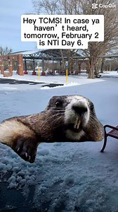 NTI Day 6 tomorrow! It’s also Groundhog Day. Let’s all be real good, do our assignments, ask our teachers for help, and maybe the groundhog won’t see his shadow 🥹 | Todd County Middle School