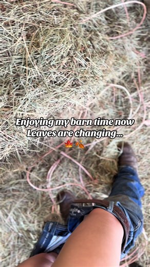 Enjoying Barn Time in Autumn Colors