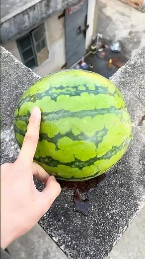 Experiment: Will the watermelon explode when it rolls down in a high-rise building?