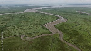Vast salt marshes, gullies, and mudflats. Zeeland's primeval landscape. The Drowned Land of Saeftinghe,nature reserve.