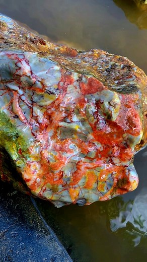 first time finding multicolored jade #gemstones #agate #diamond #jade #petrifiedwood #fyp #fypreels | Gemstone Explorers