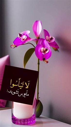 Strong heart (@strongheartafg)’s videos with alkuperäinen ääni - Strong heart