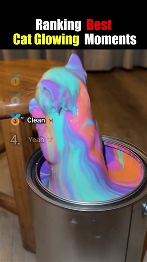 Ranking BEST GLOWING CAT Core Moments!! 🐱✨