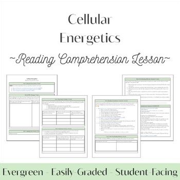 Cellular Energetics Reading Comprehension Lesson | Grades 9-12