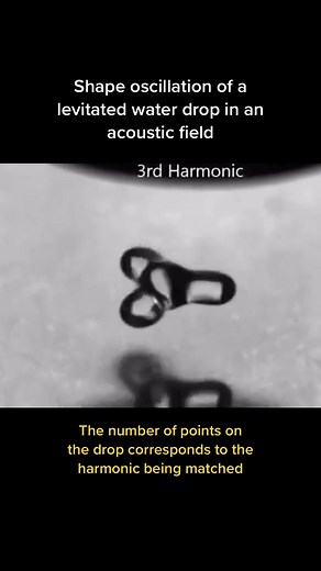 Shape Oscillation of Levitated Water Droplet in Acoustic Field