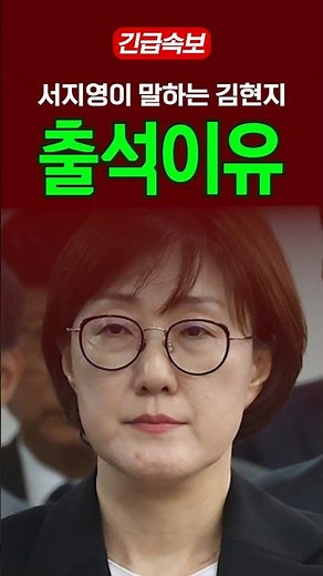 서지영이 말하는 김현지 출석이유 #이재명 #국민의힘 #서지영 #김현지 #국감출석