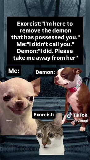 Hilarious Evil Dog Memes for Dark Humor Lovers