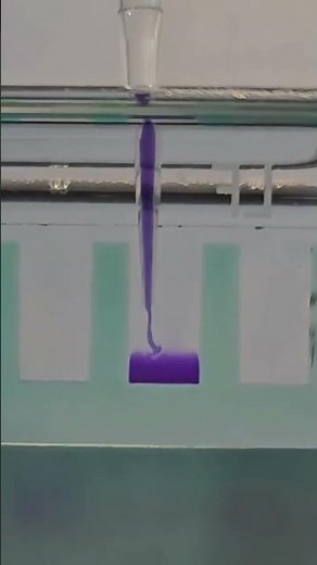 What is GEL Electrophoresis?