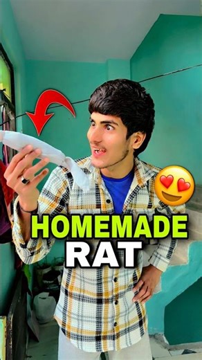 Homemade Rat 🐀 🤣Mini Vlog #comedy #minivlog #funny #cat #cats