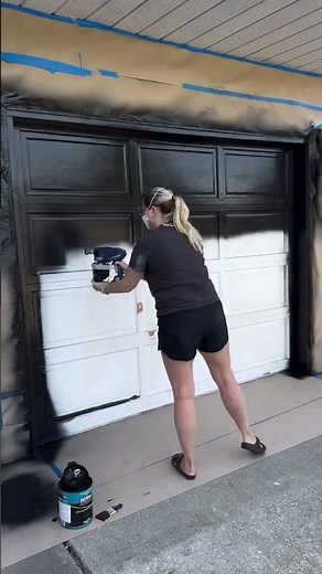 Graco TC Pro Cordless Handheld Airless Sprayer