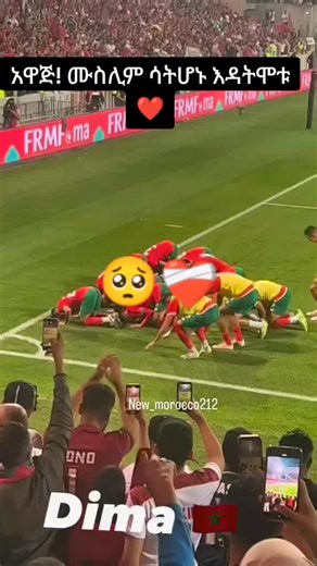 فيديوهات أنشأها dawud (@dawud1364) باستخدام original sound - dawud