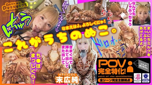 ねこ飼いました【POV】 末広純 【1votan00072】