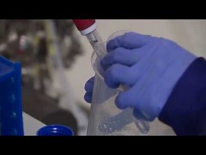 Chromatography Column Packing - Calibration of pH Probes